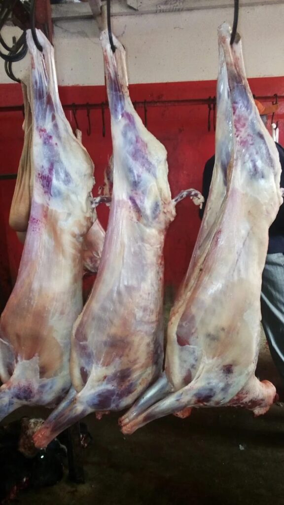 whatsapp image 2026 01 28 at 10.55.23 pm (1)