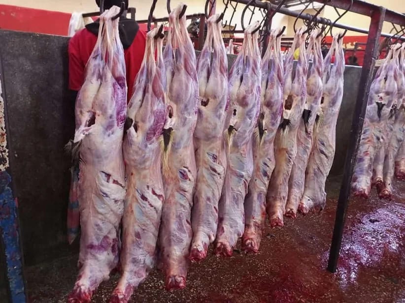 whatsapp image 2026 01 28 at 10.55.24 pm