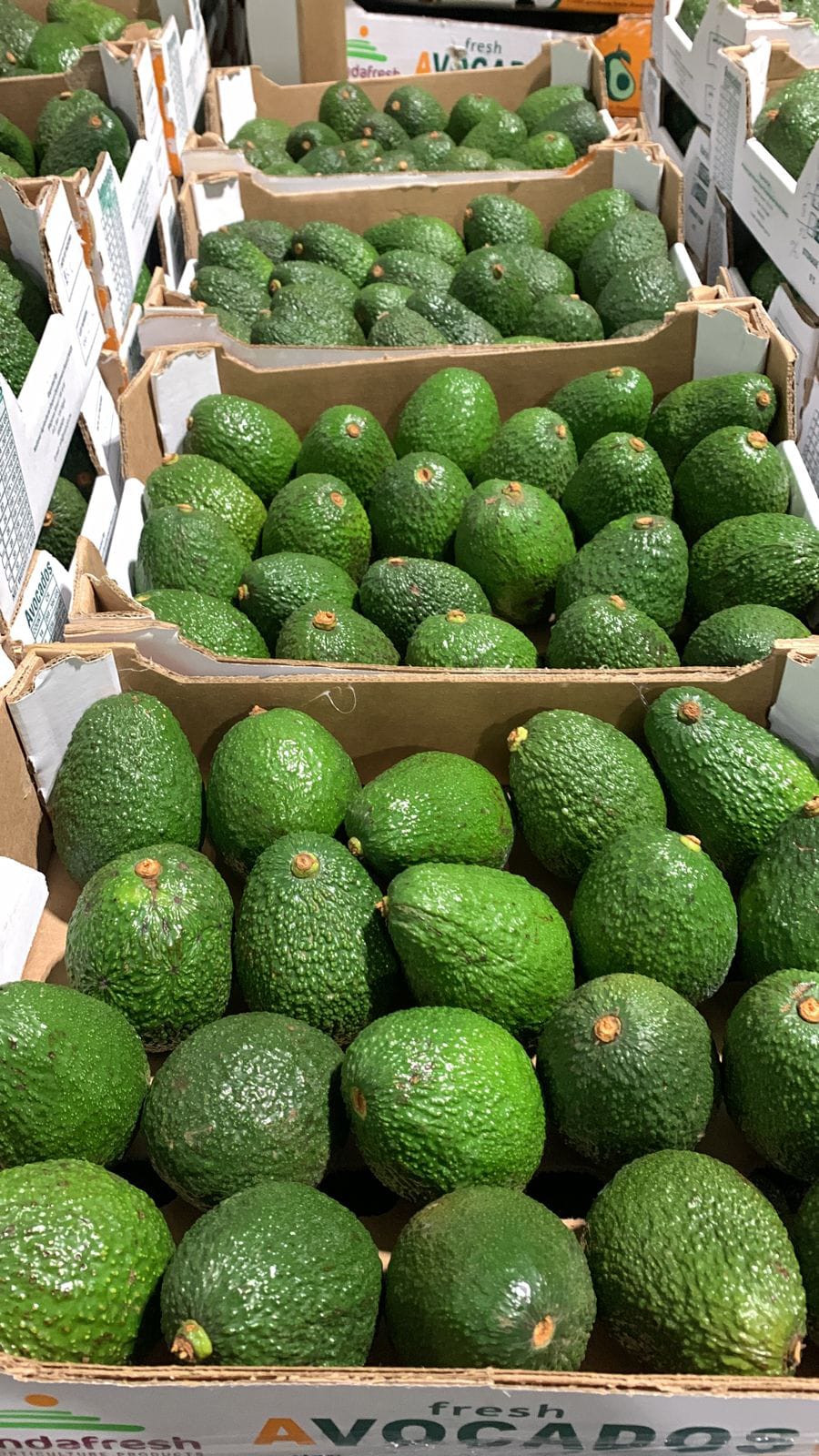 whatsapp image 2026 01 28 at 10.55.36 pm