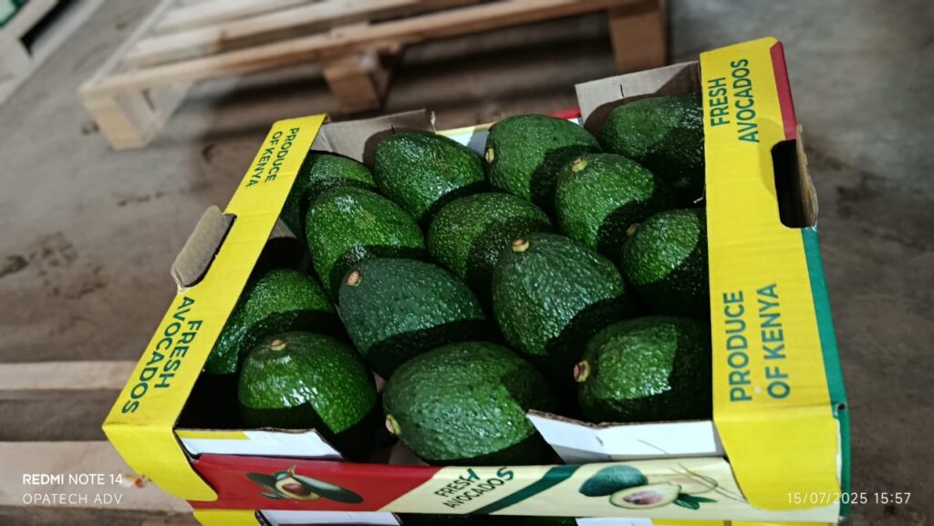 whatsapp image 2026 01 28 at 10.55.37 pm (2)