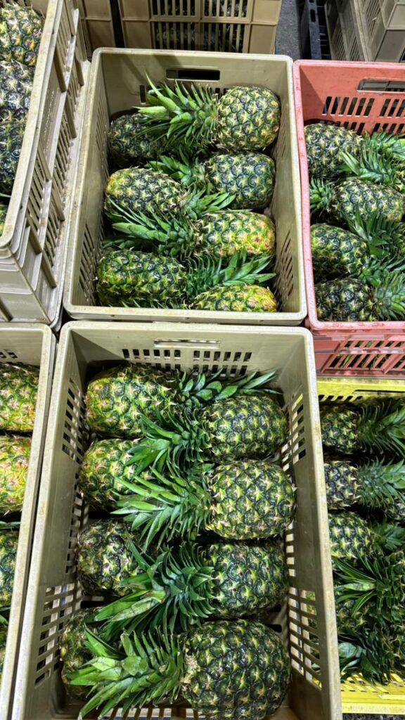 whatsapp image 2026 01 28 at 11.15.51 pm (3)