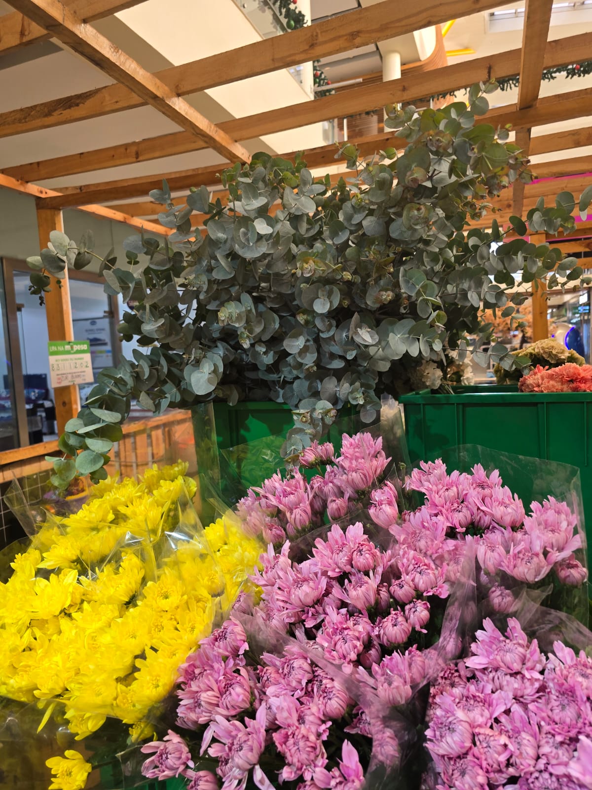 whatsapp image 2026 01 29 at 12.44.30 am