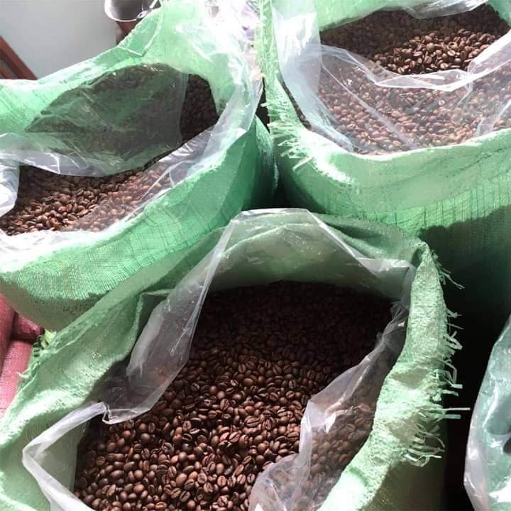 whatsapp image 2026 01 29 at 12.44.32 am (1)