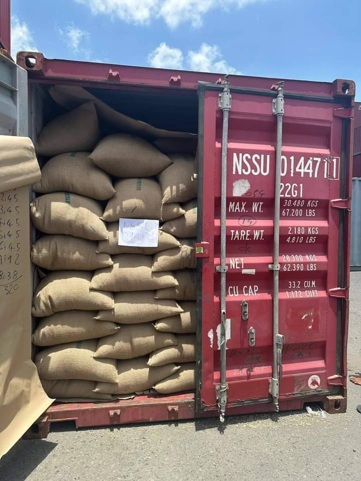 whatsapp image 2026 01 29 at 12.44.32 am