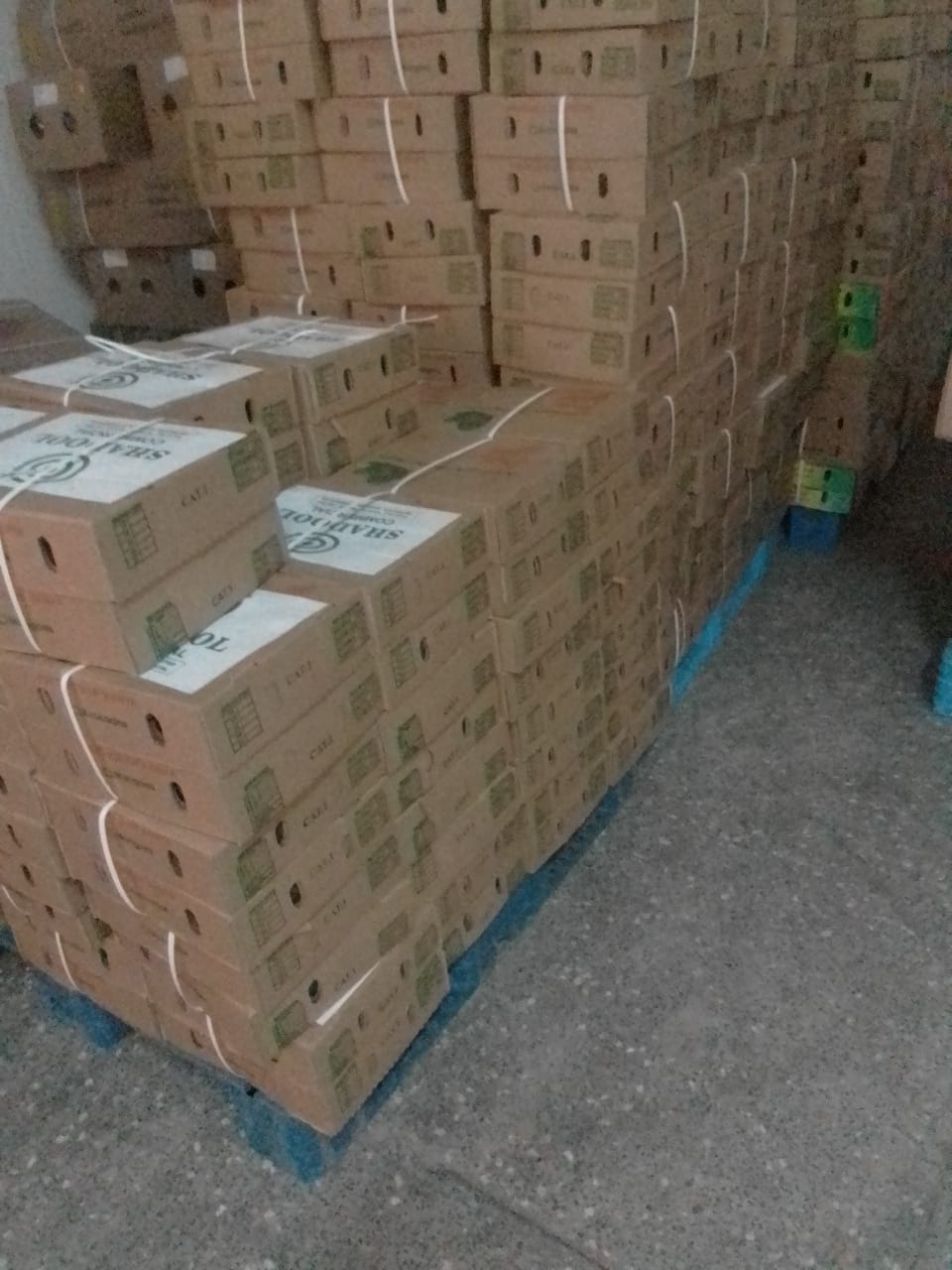 whatsapp image 2026 01 29 at 12.52.33 am