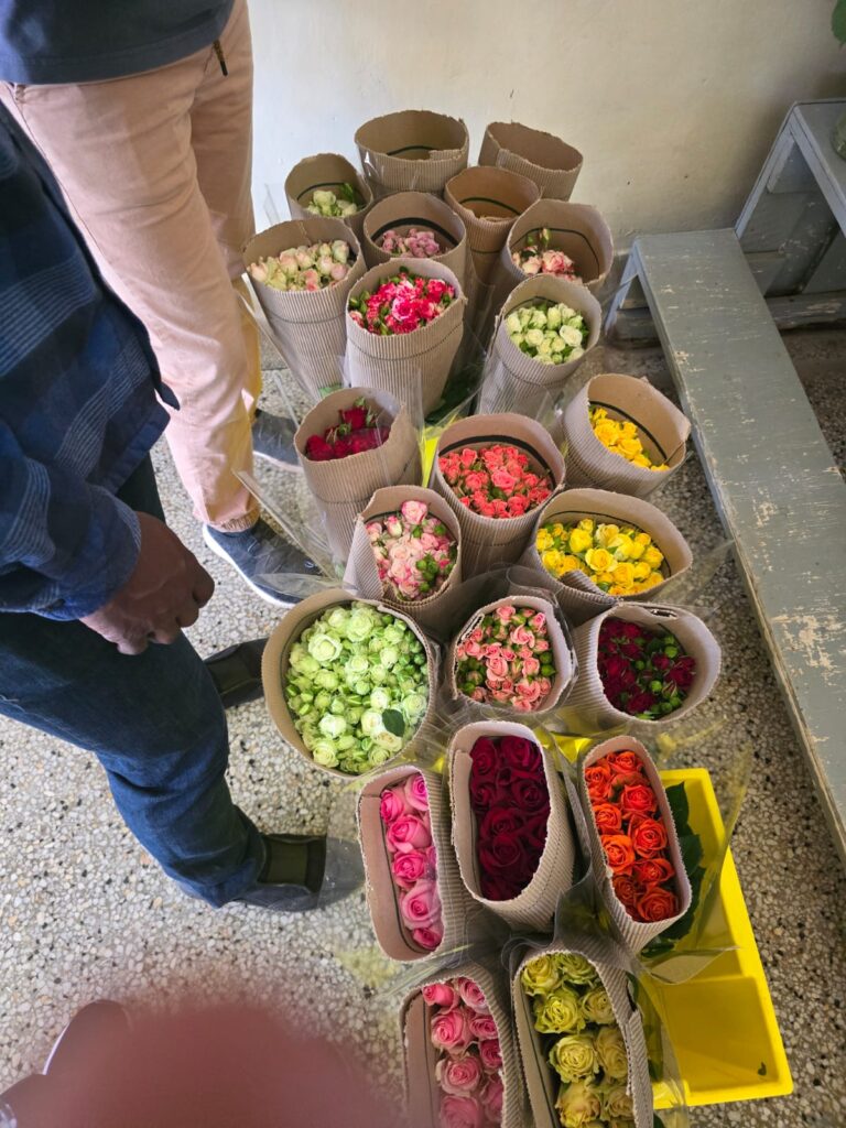 whatsapp image 2026 01 29 at 2.23.12 am (1)