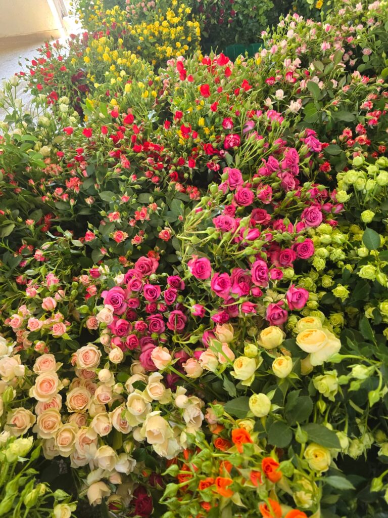 whatsapp image 2026 01 29 at 2.23.12 am (2)