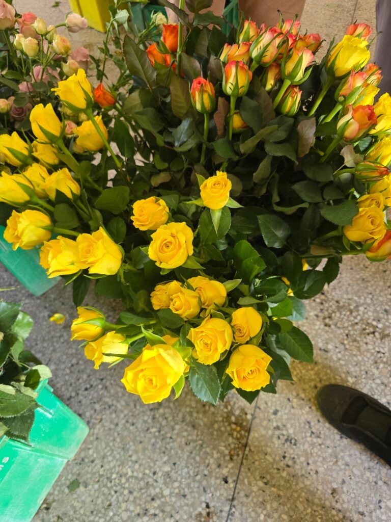 whatsapp image 2026 01 29 at 2.23.12 am