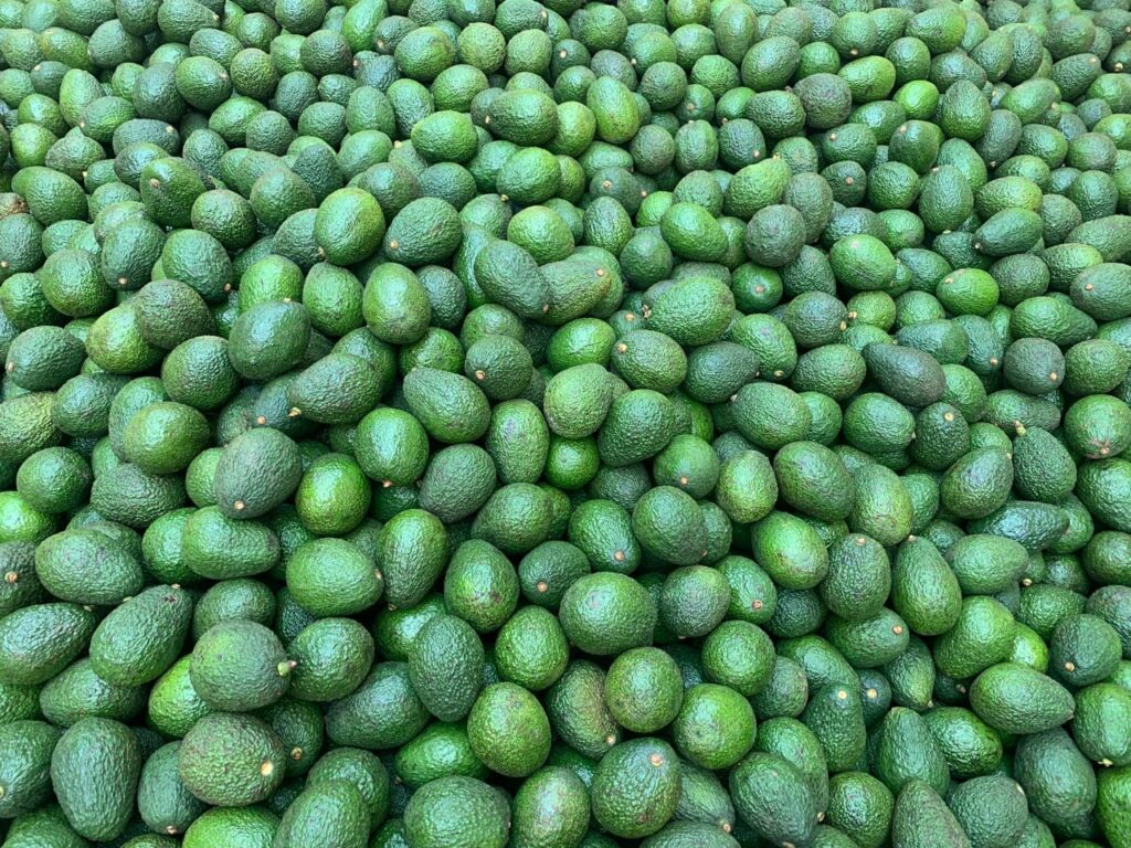 whatsapp image 2026 01 29 at 2.23.14 am